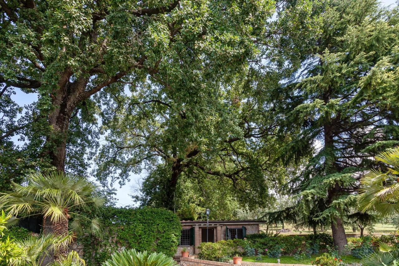 Conti Beccaris Castle By Rental In Rome Poggio Catino Exterior photo